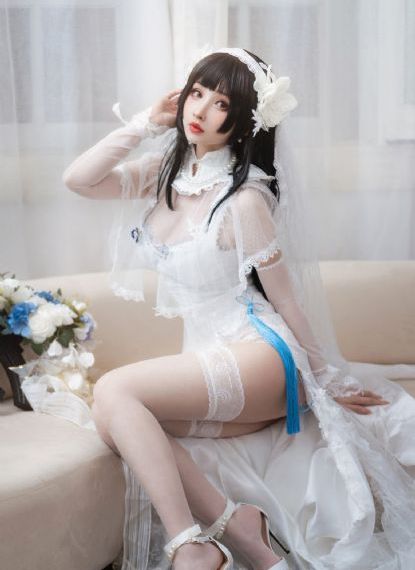 树先生免费观看全集