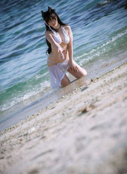 樱花电视剧